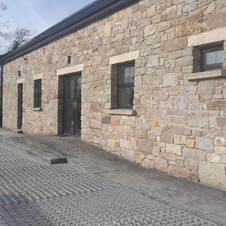 Vila Rathgillen House Nobber Exteriér fotografie